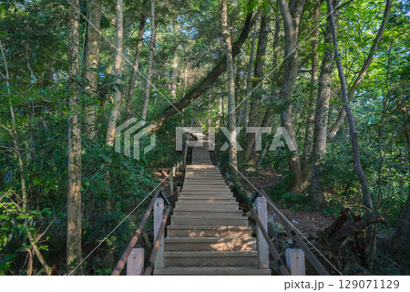 高尾山6号路の階段地獄 129071129