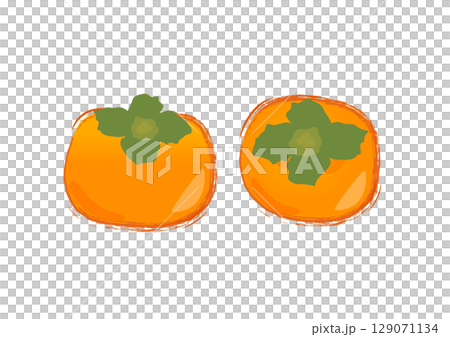 Illustration of persimmon in watercolor style 129071134
