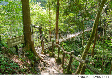 付知峡の吊り橋(岐阜県中津川市) 付知峡の吊り橋(岐阜県中津川市) 129071544