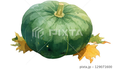 透明背景（png）に1個のカボチャの水彩イラスト 129071600