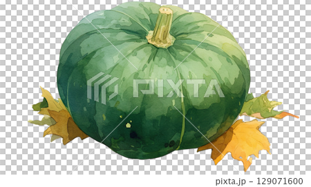 透明背景（png）に1個のカボチャの水彩イラスト 129071600