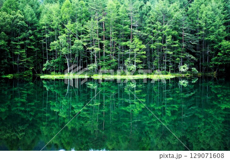 神秘の池 神秘の池 129071608
