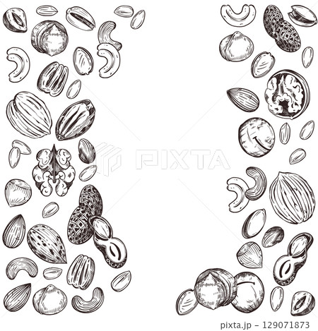 Vector frame of nuts, walnuts, cashews, pecans, macadamias, hazelnuts, peanuts, whole nuts and nut halves. All objects are hand-drawn with ink. For printing on packaging, fabric, tableware. Vector  129071873