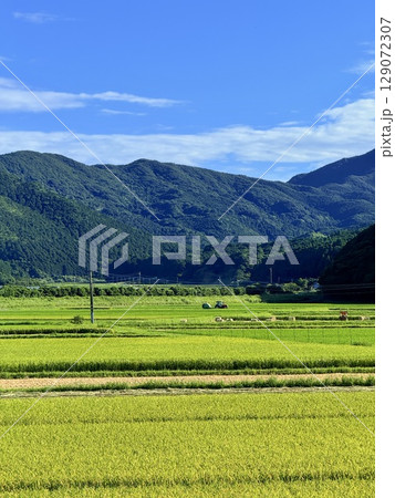 日本・長崎県・五島列島・福江島の田園風景と火山丘陵の広がる夏景色 129072307