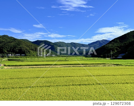 日本・長崎県・五島列島・福江島の田園風景と火山丘陵の広がる夏景色 129072308