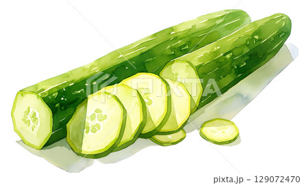 透明背景（png）にカットしたキュウリの水彩イラスト 129072470