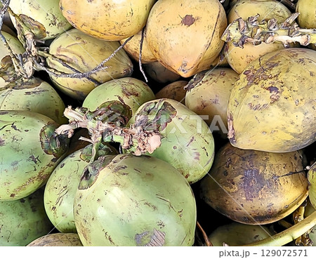 coconut at the market 129072571