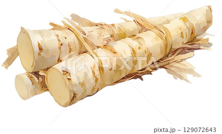 透明背景（png）にゴボウの水彩イラスト 129072643