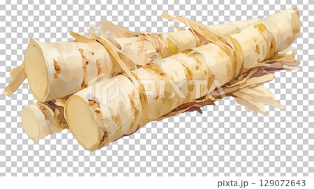 透明背景（png）にゴボウの水彩イラスト 129072643