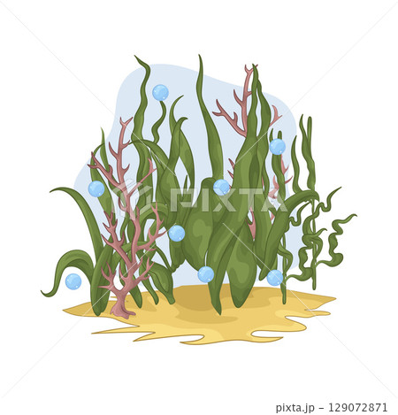 Illustration of Seaweed Illustration of Seaweed 129072871