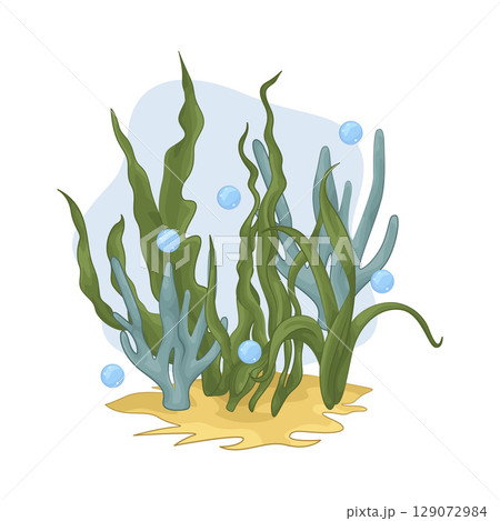 Illustration of Seaweed  129072984