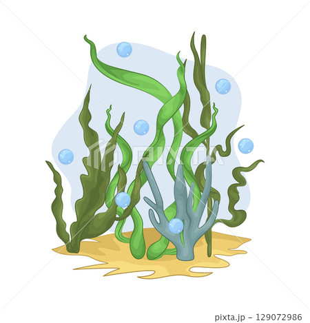 Illustration of Seaweed  129072986