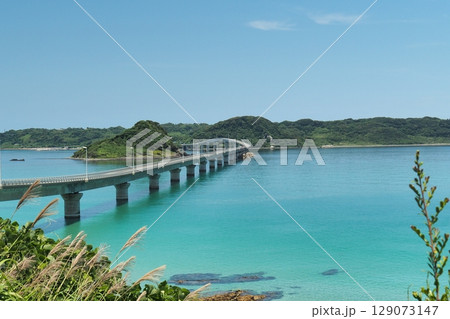 角島大橋 海に映える絶景の橋(日本山口県) 角島大橋 海に映える絶景の橋(日本山口県) 129073147