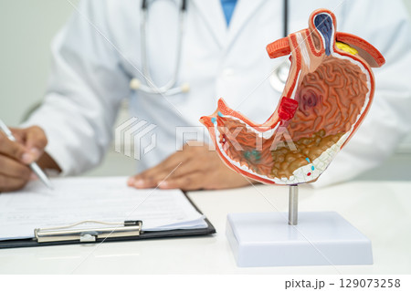 Stomach disease, doctor holding anatomy model for study diagnosis and treatment in hospital. Stomach disease, doctor holding anatomy model for study diagnosis and treatment in hospital. 129073258