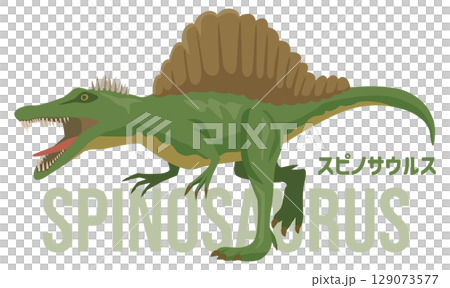 凶暴なスピノサウルス（恐竜）のイメージイラスト。名前入り 129073577