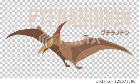 シンプルな飛んでいるプテラノドン(恐竜)のイメージイラスト。名前入り シンプルな飛んでいるプテラノドン(恐竜)のイメージイラスト。名前入り 129073596