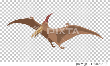 シンプルな飛んでいるプテラノドン(恐竜)のイメージイラスト シンプルな飛んでいるプテラノドン(恐竜)のイメージイラスト 129073597