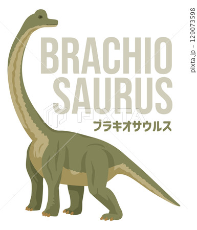 シンプルなブラキオサウルス(恐竜)のイメージイラスト。名前入り シンプルなブラキオサウルス(恐竜)のイメージイラスト。名前入り 129073598