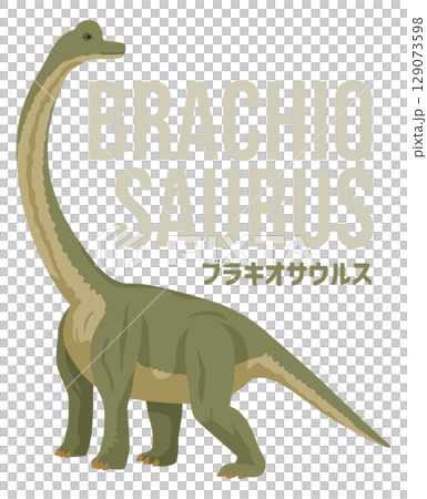 腕龍（恐龍）的簡圖。包含其名稱。 129073598