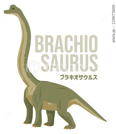 シンプルなブラキオサウルス（恐竜）のイメージイラスト。名前入り 129073600
