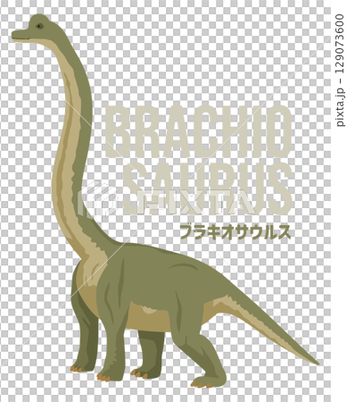 シンプルなブラキオサウルス（恐竜）のイメージイラスト。名前入り 129073600