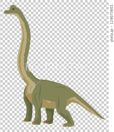シンプルなブラキオサウルス（恐竜）のイメージイラスト 129073601