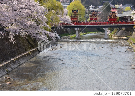 日本の岐阜県高山市 春の高山祭 満開の桜と中橋を渡る屋台 美しい新緑と宮川 日本の岐阜県高山市 春の高山祭 満開の桜と中橋を渡る屋台 美しい新緑と宮川 129073701