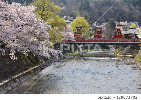 日本の岐阜県高山市　春の高山祭　満開の桜と中橋を渡る屋台　美しい新緑と宮川 129073702