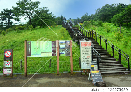 霧降高原キスゲ平園地（日光市） 129073989
