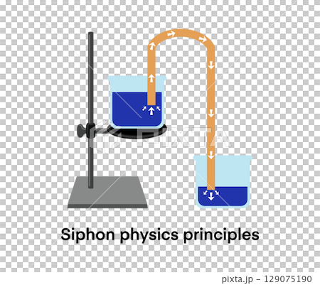 illustration of chemistry and physics, Siphon physics principles, A siphon is any of a wide variety of devices that involve the flow of liquids through tubes, Siphon principle, education for school illustration of chemistry and physics, Siphon physics principles, A siphon is any of a wide variety of devices that involve the flow of liquids through tubes, Siphon principle, education for school 129075190