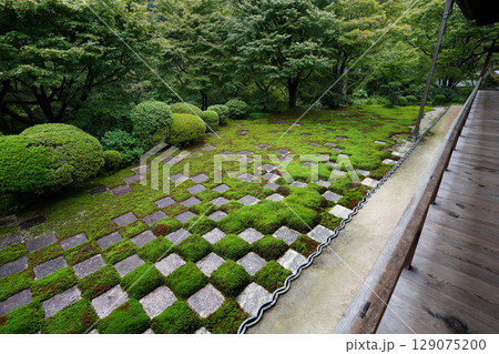東福寺本坊の市松模様の苔が美しい庭園の風景 東福寺本坊の市松模様の苔が美しい庭園の風景 129075200
