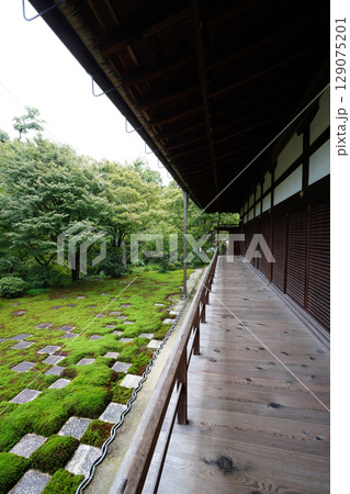 東福寺本坊の市松模様の苔が美しい庭園の風景 東福寺本坊の市松模様の苔が美しい庭園の風景 129075201