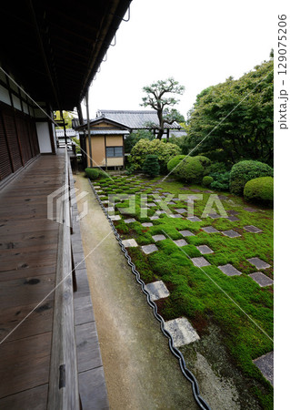東福寺本坊の市松模様の苔が美しい庭園の風景 東福寺本坊の市松模様の苔が美しい庭園の風景 129075206