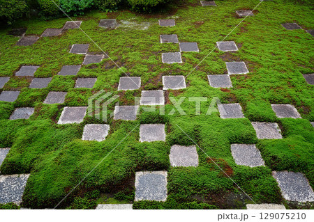 東福寺本坊の市松模様の苔が美しい庭園の風景 東福寺本坊の市松模様の苔が美しい庭園の風景 129075210