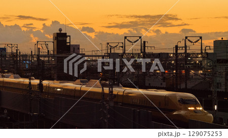 夕暮れのドクターイエロー 129075253