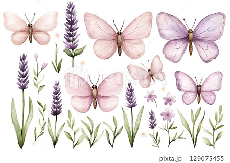 Watercolor Butterflies and Lavender Illustrations for Elegant Design Projects Watercolor Butterflies and Lavender Illustrations for Elegant Design Projects 129075455
