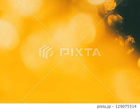 Bright sunlight creates a warm, golden glow in a peaceful outdoor setting during late afternoon 129075514