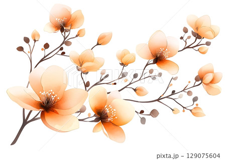 Delicate Floral Arrangement with Soft Orange Flowers and Graceful Branches on White Background 129075604