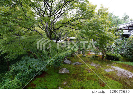 東福寺本坊庭園の風景 東福寺本坊庭園の風景 129075689