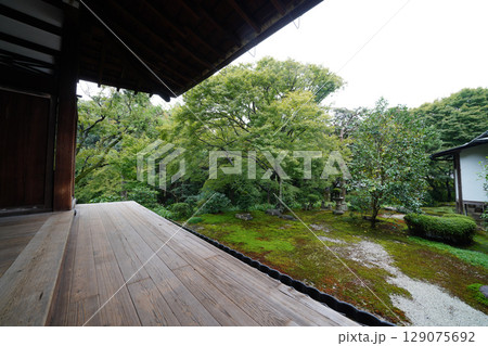 東福寺本坊庭園の風景 129075692