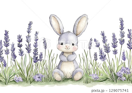 Cute gray bunny sitting in lavender field with adorable expression and cheerful ambiance 129075741
