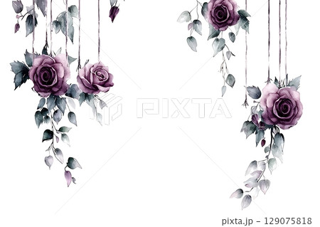 Delicate Purple Roses with Green Leaves on White Background for Floral Design or Decor 129075818