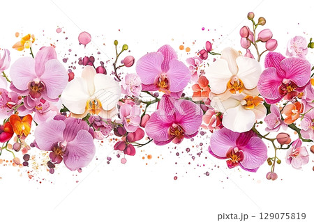 Beautiful Collection of Vibrant Orchid Flowers on a White Background with Colorful Accents 129075819