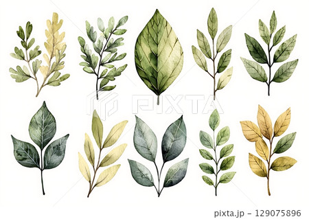 Collection of Hand-Painted Botanical Leaves in Various Shades and Styles for Art Projects Collection of Hand-Painted Botanical Leaves in Various Shades and Styles for Art Projects 129075896
