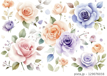 Beautiful Watercolor Roses in Soft Pastel Colors for Floral Inspiration and Design Beautiful Watercolor Roses in Soft Pastel Colors for Floral Inspiration and Design 129076038