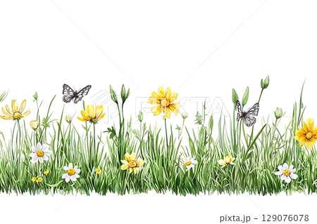 Vibrant Wildflower Meadow with Butterflies and Lush Green Grass on White Background 129076078