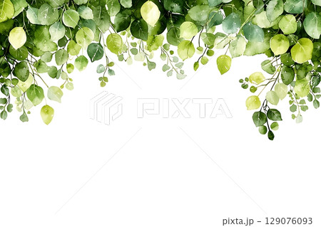 Watercolor Illustration of Fresh Green Leaves and Branches on a Clean White Background 129076093
