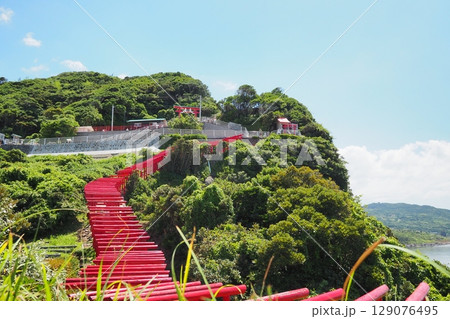 元乃隅神社の連なる赤鳥居と広がる海（山口県長門市） 129076495