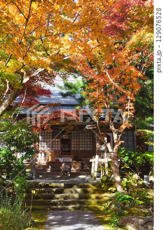 鎌倉 覚園寺の美しい紅葉（神奈川県鎌倉市） 129076528