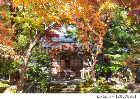 鎌倉 覚園寺の美しい紅葉（神奈川県鎌倉市） 129076911